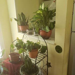 Meet your Posher, Deborah